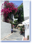 Ruelle de Marbella